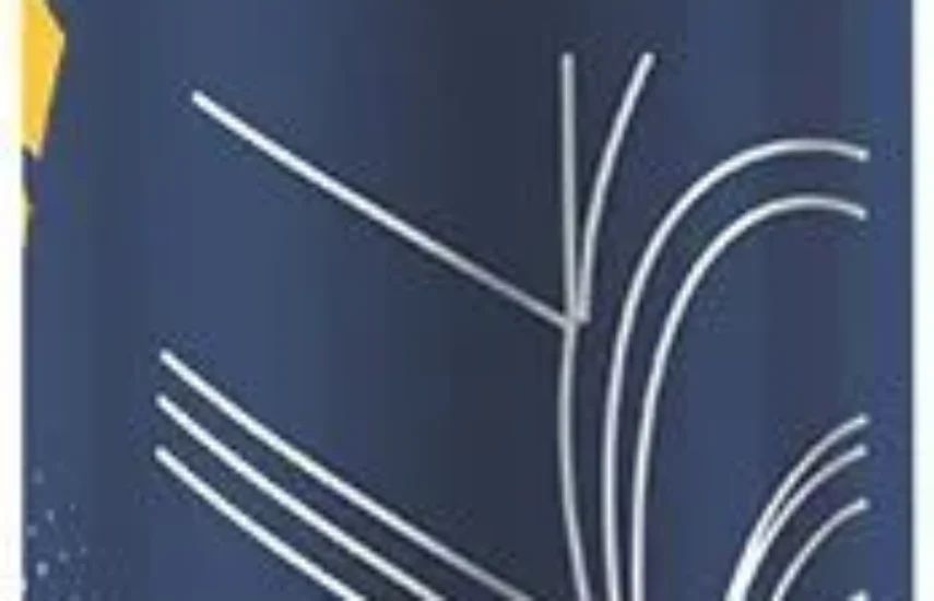 Средство Антикор черный Mannol 9909 Anticor 1л